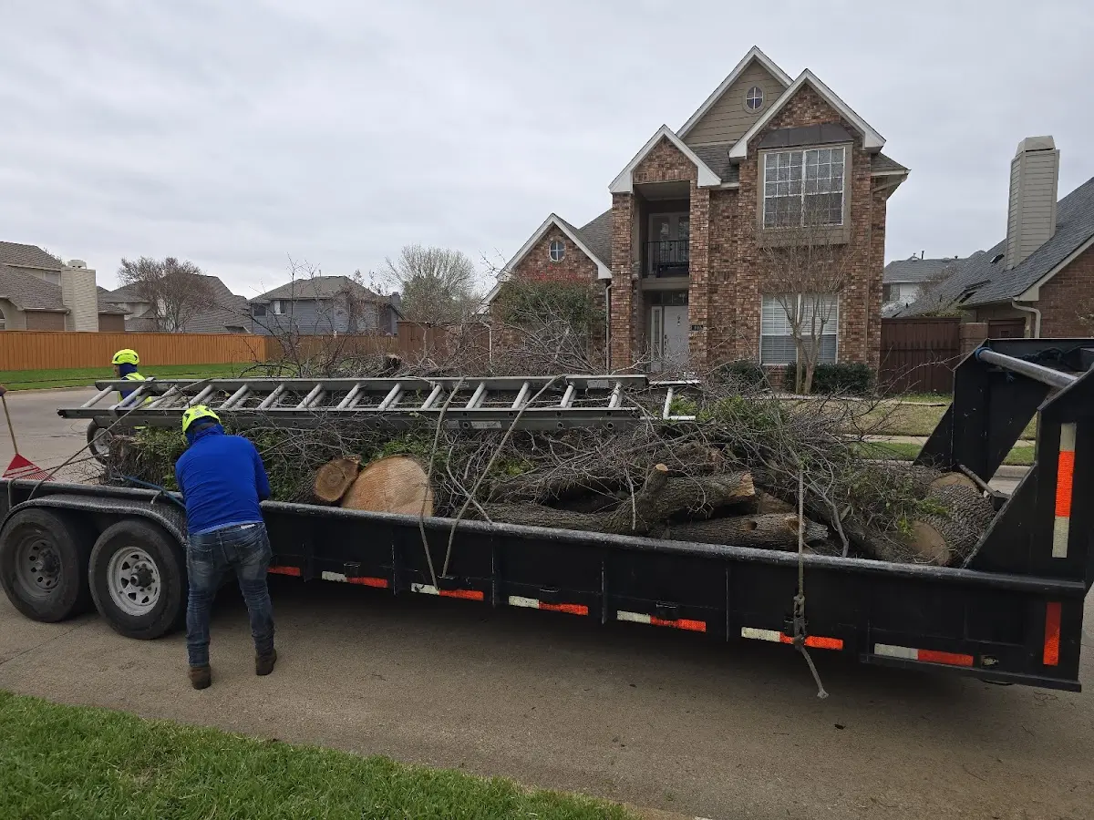 Expert Tree Pest Control with proper safety equipment in Grantsburg